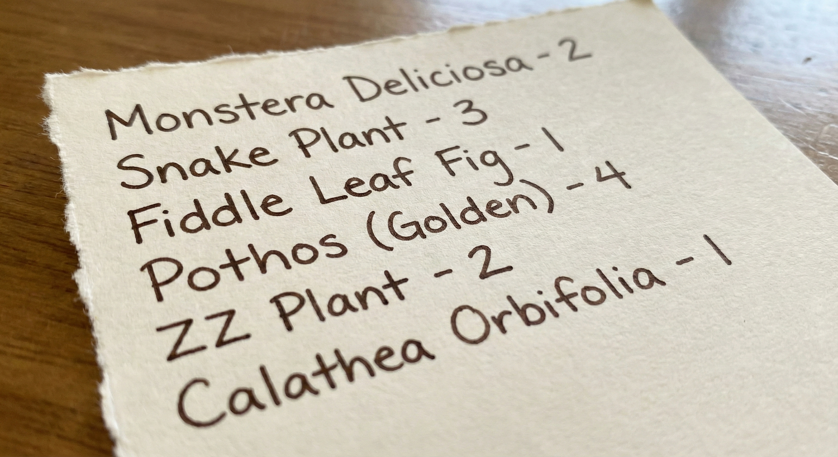 Plant shopping list example
